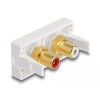 Moduł Easy45 2 x złącze żeńskie RCA, pierścień czarny / biały, 22,5 x 45 mm Delock 81396