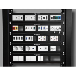 Moduł Easy45 D-Sub 9 pin, męski do bloku zacisków 9 pin, 22,5 x 45 mm Delock 81408