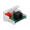 Moduł Easy45 2 x RCA żeński do port żeński RJ45 22,5 x 45 mm Delock 81341