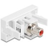 Moduł Easy45 Cinch gniazdo do Cinch gniazdo czerwone / białe Delock 90857