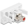 Moduł Easy45 Cinch gniazdo do Cinch gniazdo czerwone / białe Delock 90857