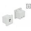 Moduł portu ładowania Easy45 USB 1 x Typ-A + 1 x USB Type-C™ Delock 81313