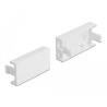 Pokrywka modułu Easy45 45 x 22,5 mm 10 szt., biała Delock 81301
