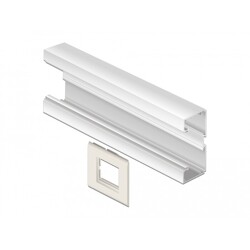 Uchwyt modułu Easy45 do zakończenia instalacji 85 x 80 mm Delock 81315