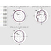 Antena SMA męska LTE, Dwupasmowa WLAN ac/a/b/g/n 1 - 4 dBi ze złączem pochylania czarny Delock 12408