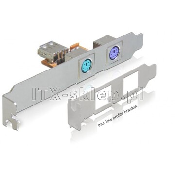 Śledź USB - 2 x PS/2 standard + low-profile