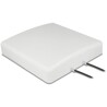 Antena LTE MIMO 2 x SMA wtyk 8 dBi kierunkowa z kablem RG-58 10 m beżowa zewnętrzna Delock 89891