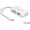 Adapter USB typu C męski do VGA / HDMI / DVI żeński biały Delock 63924