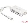 Adapter USB typu C męski do VGA / HDMI / DVI żeński biały Delock 63924
