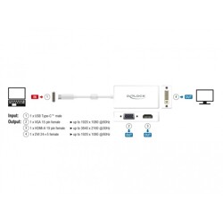 Adapter USB typu C męski do VGA / HDMI / DVI żeński biały Delock 63924 Adapter USB typu C męski do VGA / HDMI / DVI żeński biały Delock 63924