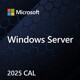 Microsoft Windows Server 2025 CAL PL 5 User EP2-25286