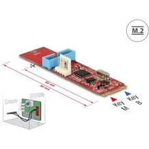 Konwerter M.2 B+M męski - 1x 6-pinowa listwa USB 5 Gbps Delock 62842