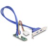 Konwerter M.2 B+M męski - 2x gniazdo USB Typ-A żeńskie 5 Gbps z kablem 50 cm Delock 61065