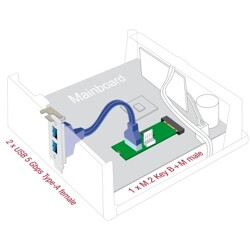 Konwerter M.2 B+M męski - 2x gniazdo USB Typ-A żeńskie 5 Gbps z kablem 50 cm Delock 61065 Konwerter M.2 B+M męski - 2x gniazdo USB Typ-A żeńskie 5 Gbps z kablem 50 cm Delock 61065