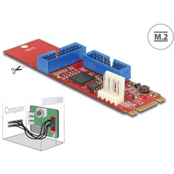 Konwerter M.2 B+M męski - 2x 6-pinowa listwa USB 5 Gbps Delock 62843