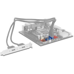 Konwerter M.2 B+M męski - 2x 6-pinowa listwa USB 5 Gbps Delock 62843 Konwerter M.2 B+M męski - 2x 6-pinowa listwa USB 5 Gbps Delock 62843