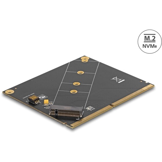 Konwerter MXM - M.2 NVMe z wpustem M Delock 61057