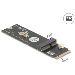 Konwerter M.2 złącze M męski - M.2 wejście złącze E dla modułów USB i PCIe Delock 64344