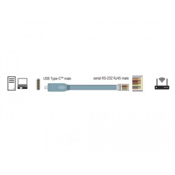 Przejściówka USB 2.0 Typ-C męska na RS-232 RJ45 męski 0,5m szara Delock 89917