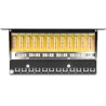 Panel krosowy 10" 12-portowy Cat.6 czarny Delock 43297