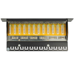 Panel krosowy 10" 12-portowy Cat.6 szary Delock 43299