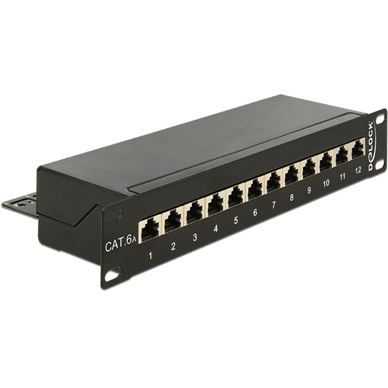 Panel krosowy 10" 12-portowy Cat.6A czarny Delock 43310