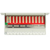 Panel krosowy 10" 12-portowy Cat.6A czarny Delock 43310