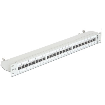 Panel krosowy 19" 1U 24-portowy Cat.6A szary Delock 43319