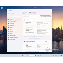 Microsoft Windows 11 IoT Enterprise LTSC 2024 Virtualization Only ESD