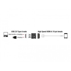 Adapter HDMI-A żeński USB typ A męski czarny Delock 65680 Adapter HDMI-A żeński USB typ A męski czarny Delock 65680