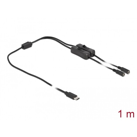 Kabel USB-C męski do 2x DC 5,5 x 2,1mm żeński z przełącznikiem 1m Delock 86800