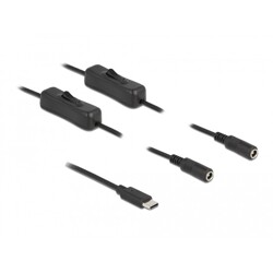 Kabel USB-C męski do 2x DC 5,5 x 2,1mm żeński z przełącznikiem 1m Delock 86800 Kabel USB-C męski do 2x DC 5,5 x 2,1mm żeński z przełącznikiem 1m Delock 86800