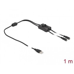 Kabel USB typ A męski do 2x DC 5,5 x 2,1mm żeński z przełącznikiem 1m Delock 86797