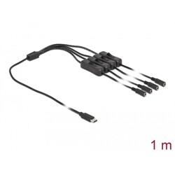 Kabel USB-C męski do 4x DC 5,5 x 2,1mm żeński z przełącznikiem 1m Delock 86802