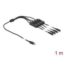 Kabel USB-C męski do 4x DC 5,5 x 2,1mm żeński z przełącznikiem 1m Delock 86802