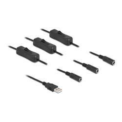Kabel USB typ A męski do 3x DC 5,5 x 2,1mm żeński z przełącznikiem 1m Delock 86798 Kabel USB typ A męski do 3x DC 5,5 x 2,1mm żeński z przełącznikiem 1m Delock 86798