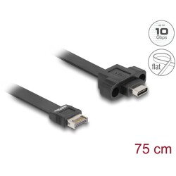 Kabel USB 10Gbps płaski typ E klucz A 20-pin. męski na USB-C żeński na panel 75cm Delock 85760