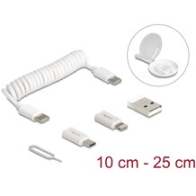Zestaw kabla USB 5 w 1 do transmisji danych i ładowania oraz adaptera PD 3.0 60W biały Delock 66612