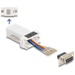 Adapter D-Sub 9-pin. żeński do RJ12 żeński do montażu biały Delock 67078