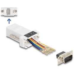 Adapter D-Sub 9-pin. męski do RJ45 żeńskie do montażu biały Delock 67102