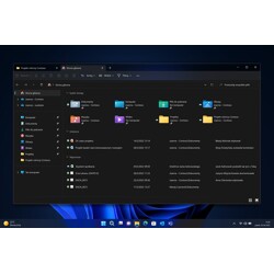 Microsoft Windows 11 Professional PL DVD 64-bit OEM PL FQC-10544
