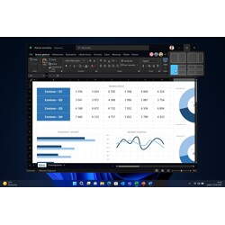 Microsoft Windows 11 Professional PL DVD 64-bit OEM PL FQC-10544