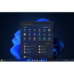 Microsoft Windows 11 Professional PL DVD 64-bit OEM PL FQC-10544