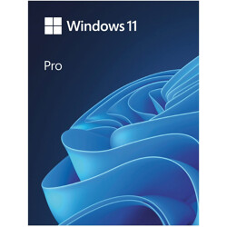 Microsoft Windows 11 Professional PL DVD 64-bit OEM PL FQC-10544