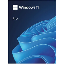 Microsoft Windows 11 Professional PL DVD 64-bit OEM PL FQC-10544