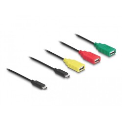 Hub kablowy USB 2.0 USB-C 3x USB-A żeński + 1x USB-C męski 4-portowy Delock 64203