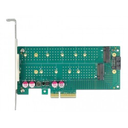 Karta PCI Express x4 1x M.2 key B + 1x NVMe M.2 key M low profile Delock 89047