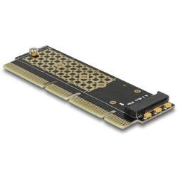 Karta PCI Express x16 x4/x8 1x NVMe M.2 key M jako serwer Delock 90303