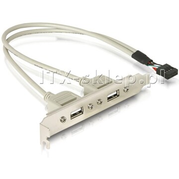 Śledź USB 9pin - 2xUSB zewnętrzne 30cm