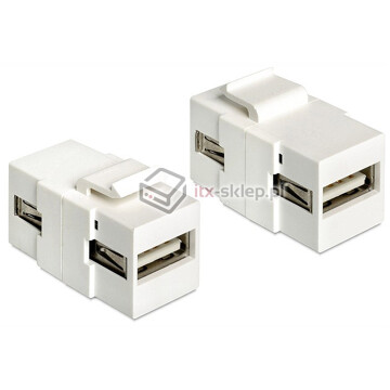 Moduł Keystone USB 2.0 A zeński (F) - USB 2.0 A żeński (F) Delock 86317